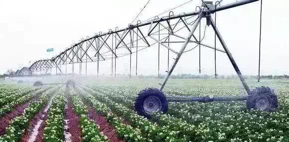 以色列農業技術開發 如何實現'一分耕耘，十分收獲'